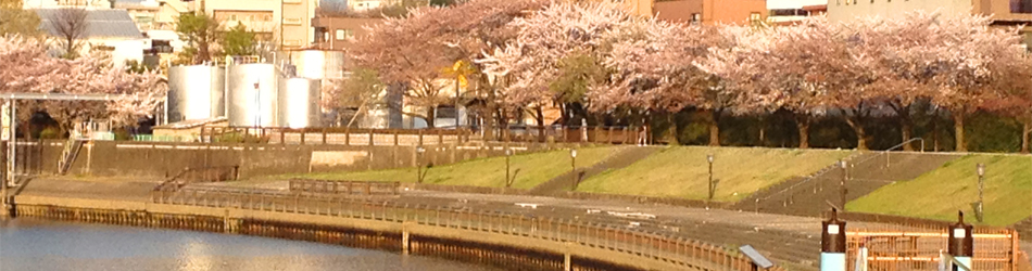 suizyoubasunoriba